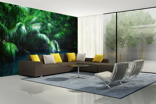 Vlies Fototapete - Mangroven-Regenwald 375 x 250 cm